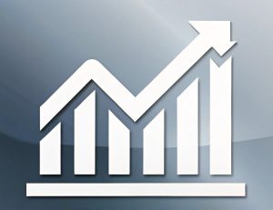 silver-conomy-icon